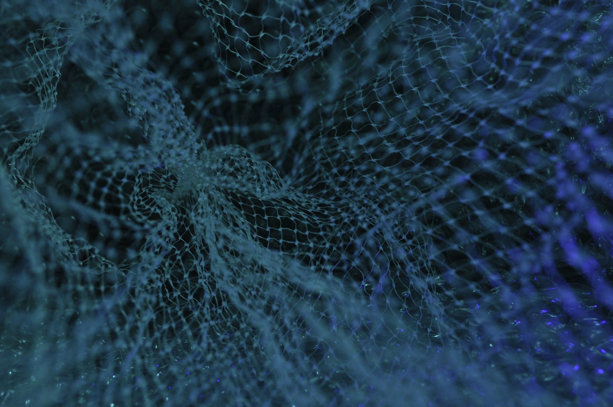 {% Static – Digital Signatures 101