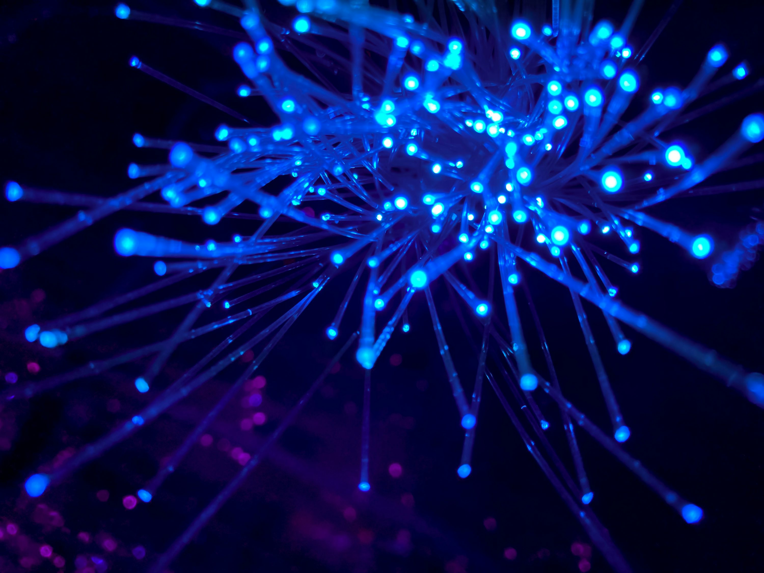 {% Static – API Notes: Rate Limits & Quotas